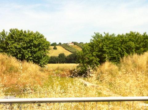 Ostra Vetere Un lettore fa la prima uscita in bicicletta alle Muracce e …