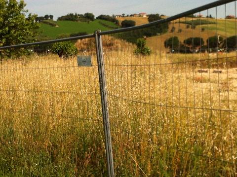 Ostra Vetere Un lettore fa la prima uscita in bicicletta alle Muracce e …