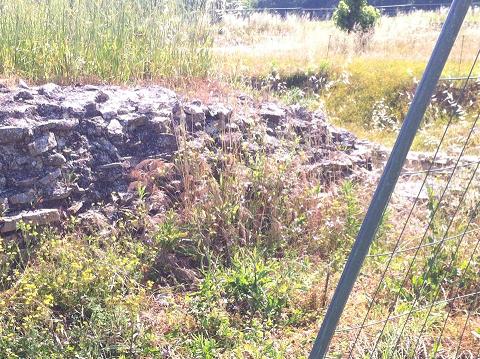 Ostra Vetere Un lettore fa la prima uscita in bicicletta alle Muracce e …