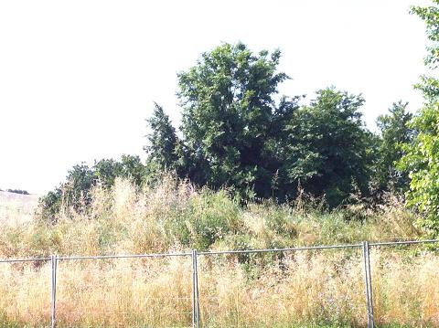 Ostra Vetere Un lettore fa la prima uscita in bicicletta alle Muracce e …