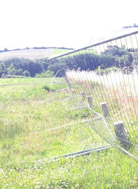 Ostra Vetere Un lettore fa la prima uscita in bicicletta alle Muracce e …