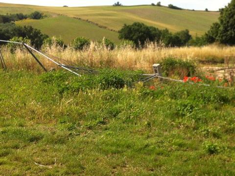 Ostra Vetere Un lettore fa la prima uscita in bicicletta alle Muracce e …